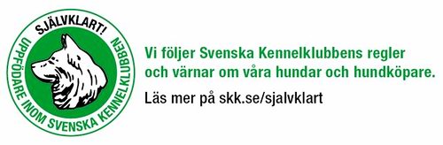 skk.se